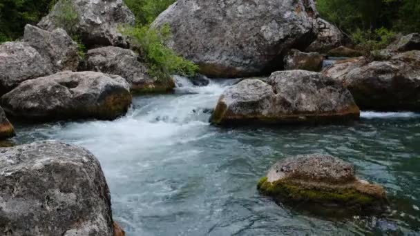 Maravillosos Rápidos Agua Dulce Cascadas Río Que Fluye Arroyo Sobre — Vídeos de Stock