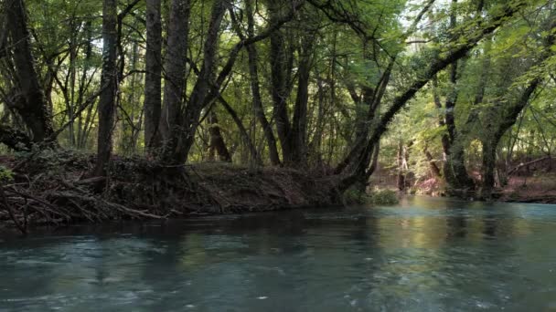 Paesaggio Estivo Della Natura Della Russia Fiume Della Foresta Sole — Video Stock