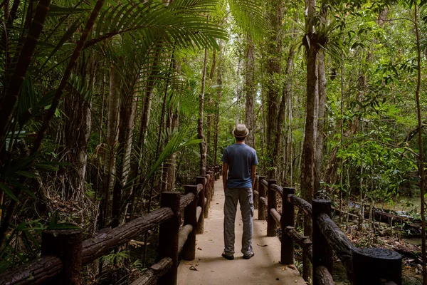 Turista Masculino Uma Trilha Uma Floresta Tropical Vista Trás Tipo — Fotografia de Stock