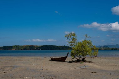 Tayland, Krabi 'de tahta kuyruklu bir tekne. Asya seyahati. Geleneksel balıkçı teknesiyle manzara