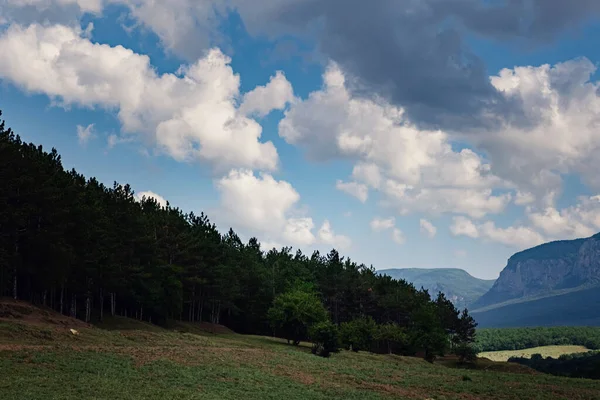 Verão Verde Paisagem Natureza Rural Céu Bonito Com Nuvens Nas — Fotografia de Stock