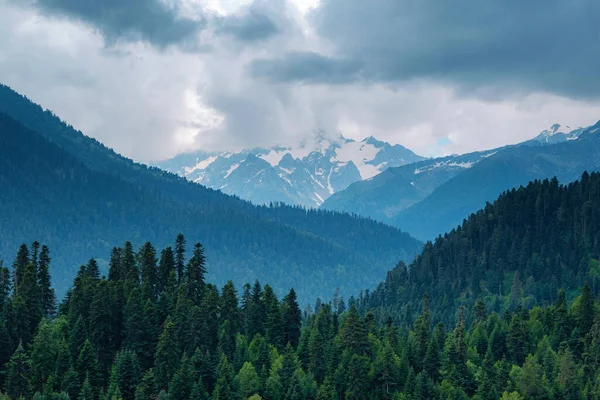 Dramatik dağ manzarası. Dağlarda yaz. Yağmur bulutları, soğuk boyalar, yeşilliğin vahşiliği. Kuzey Kafkasya, Dombai, Rusya.