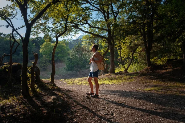 在夏日落日的森林里背着背包徒步旅行的人 旅游生活方式与冒险的概念 — 图库照片