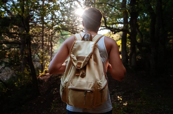 Homem Viajante Com Mochila Caminhadas Livre Floresta Pôr Sol Verão — Fotografia de Stock