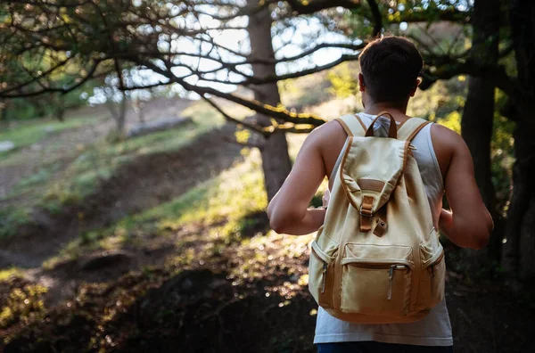 Homem Viajante Com Mochila Caminhadas Livre Floresta Pôr Sol Verão — Fotografia de Stock