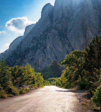 Dağlarda asfalt yol, güzel güneş ışığı, yaz tatili. Klasik tonlama. Seyahat geçmişi. Avrupa dağlarında otoyol