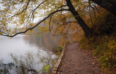 Sonbaharda Hırvatistan 'da Plitvice Gölleri, büyüleyici şelaleler, canlı yapraklar ve kristal berrak sular sergiliyor ve doğa severler için mükemmel büyülü ve sakin bir doğal manzara yaratıyor..