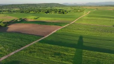Dreznik şehri yakınlarındaki geniş yeşil tarlalarda ve kırsal yollarda insansız hava aracı görüntüsü. Canlı manzara, bahar büyümesi, Hırvat köylerinde tipik bir barış duygusu.