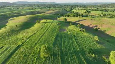 Ortaçağ Dreznik Grad yakınlarında yeşil çayırlar ve tepeler. Dreznik şehri yakınlarındaki geniş yeşil alanlar ve kırsal yolların insansız hava aracı görüntüsü. Canlı manzara, bahar büyümesi, Hırvat köylerinde tipik bir barış duygusu.