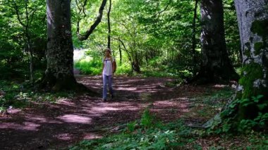 Zengin bir ormanda sırt çantasıyla yürüyüş yapan bir kadın yaz güneşli günlerinde doğal çevrenin tadını çıkarıyor. Ormanlık bir patikada yürüyor, kendini doğanın ve maceranın güzelliğine kaptırıyor..