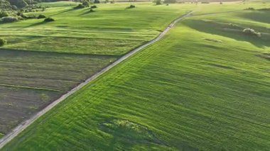 Dreznik şehri yakınlarındaki geniş yeşil tarlalarda ve kırsal yollarda insansız hava aracı görüntüsü. Canlı manzara, bahar büyümesi, Hırvat köylerinde tipik bir barış duygusu.