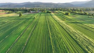 Ortaçağ Dreznik Grad yakınlarında yeşil çayırlar ve tepeler. Dreznik şehri yakınlarındaki geniş yeşil alanlar ve kırsal yolların insansız hava aracı görüntüsü. Canlı manzara, bahar büyümesi, Hırvat köylerinde tipik bir barış duygusu.