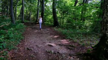 Zengin bir ormanda sırt çantasıyla yürüyüş yapan bir kadın yaz güneşli günlerinde doğal çevrenin tadını çıkarıyor. Ormanlık bir patikada yürüyor, kendini doğanın ve maceranın güzelliğine kaptırıyor..