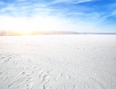 Kış manzarası. Mavi gökyüzünde ve güneşte karla kaplı tarlalar.