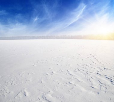 Kış manzarası. Mavi gökyüzünde ve güneşte karla kaplı tarlalar.