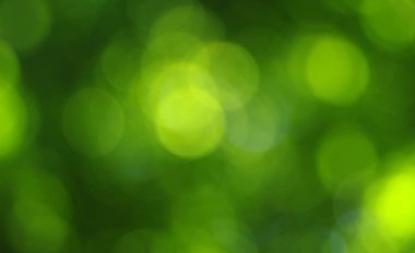 yeşil bokeh soyut ışık arkaplanı