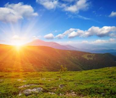 Güneşli dağ manzarası