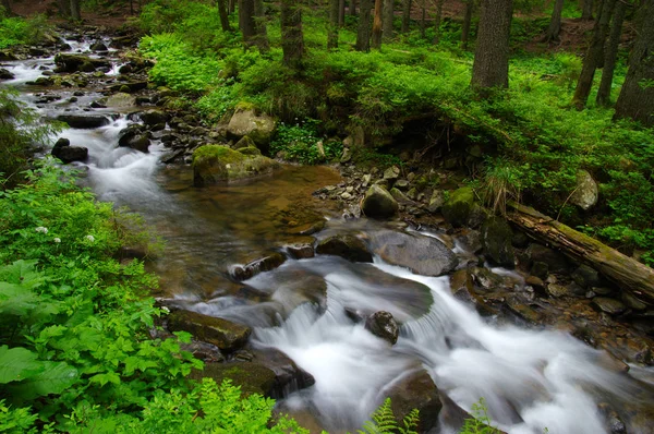  Yeşil Ahşap akışında