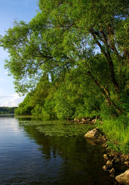 Landskap Med Träd Och Flod — Stockfoto