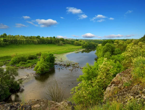 Paysage Avec Des Arbres Une Rivière — Photo