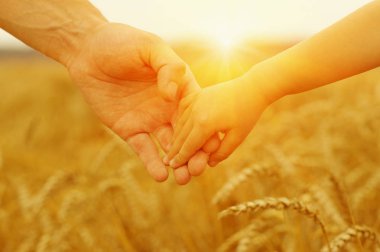 Güneşin üzerindeki baba ve kızın elleri. Birbirlerini buğday tarlasında tutuyorlar.