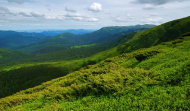 Yazın dağ manzarası