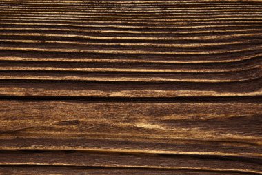 closeup arka plan ağaç doku