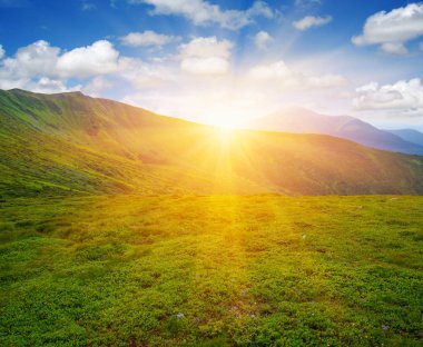 Güneşli dağ manzarası