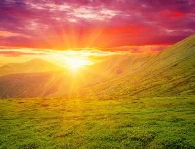 Güneşli dağ manzarası