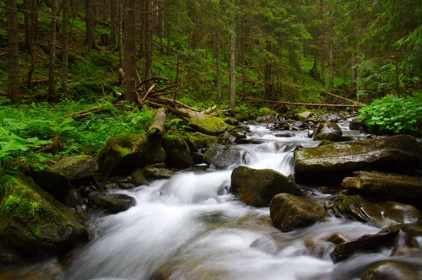 Dağ Nehri Yeşil Ormandan Akıyor Ormanda Akarsu — Stok fotoğraf