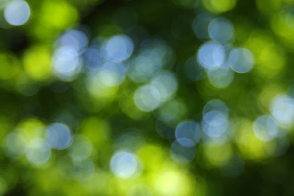 Zöld Bokeh Elvont Fény Háttér — Stock Fotó