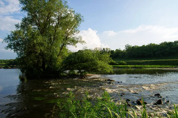 Paisaje Con Árboles Río —  Fotos de Stock