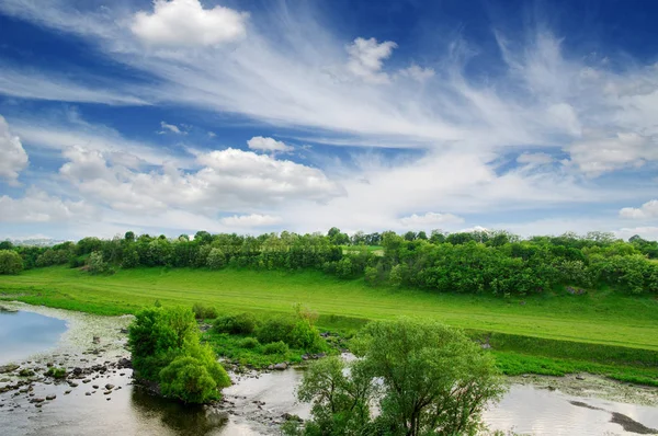 Landschap Met Bomen Een Rivier — Stockfoto