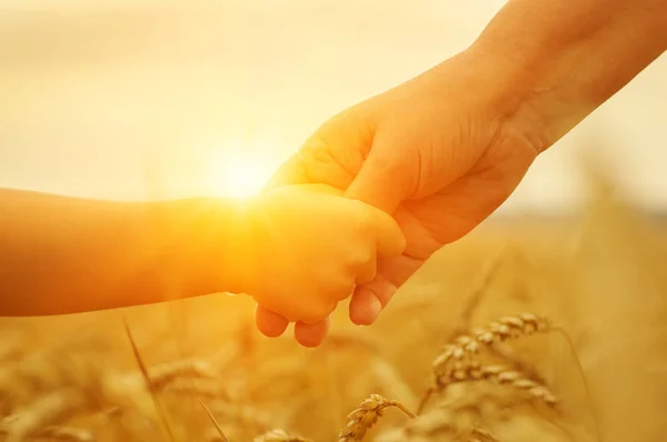 Mains Mère Fille Soleil Tenant Mutuellement Sur Champ Blé — Photo