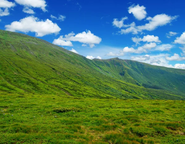 Yazın dağ manzarası
