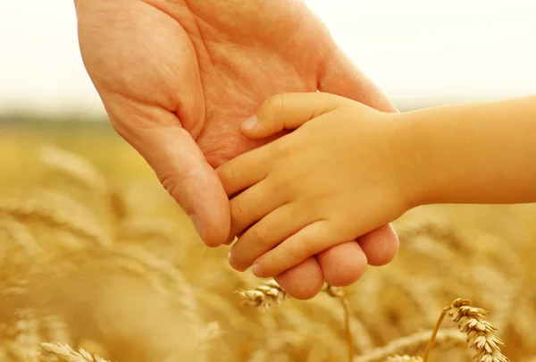 Händerna Mor Och Dotter Håller Varandra Vetefält — Stockfoto