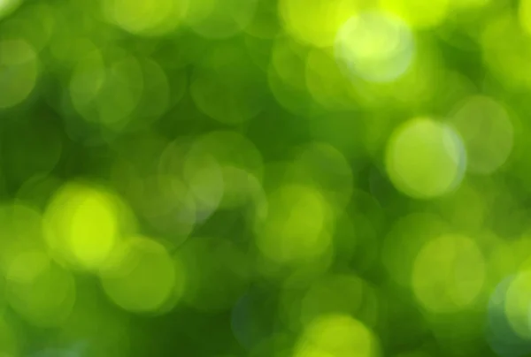 Vert Bokeh Abstrait Lumière Fond — Photo