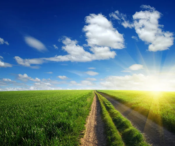 Estrada Campo Céu Azul Com Nuvens — Fotografia de Stock