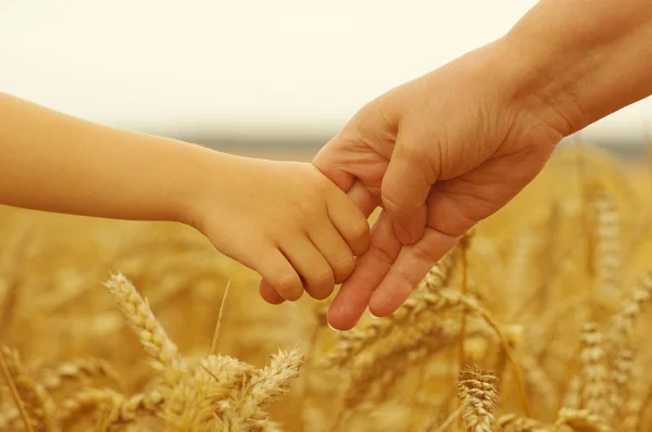 Hände Von Mutter Und Tochter Halten Sich Auf Weizenfeld — Stockfoto