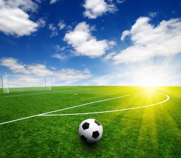 Fußball Auf Dem Rasen — Stockfoto