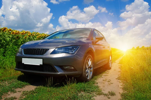 Auto Auf Einem Feld Mit Sonnenblumen — Stockfoto