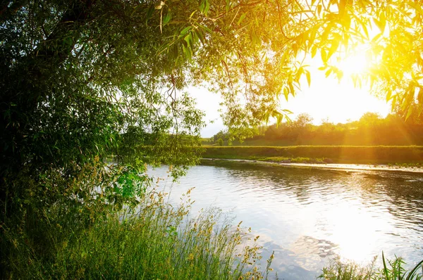 Paisagem Com Rio Sol — Fotografia de Stock