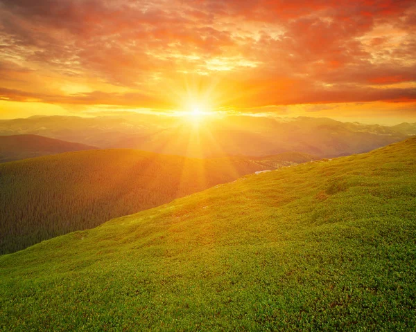 Güneşli dağ manzarası