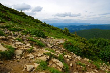 Yazın dağ manzarası