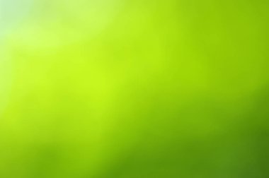 yeşil bokeh soyut ışık arkaplanı