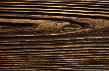 closeup arka plan ağaç doku