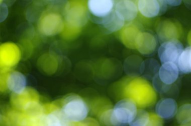 yeşil bokeh soyut ışık arkaplanı