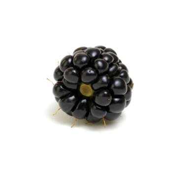  Olgun böğürtlenler beyaz arka planda izole edilmiş kırpma yolu ile.