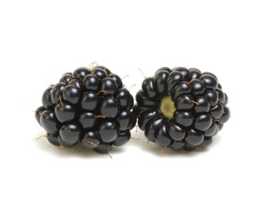  Olgun böğürtlenler beyaz arka planda izole edilmiş kırpma yolu ile.