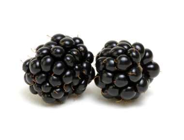 Blackberry beyaz arkaplanda izole edildi.